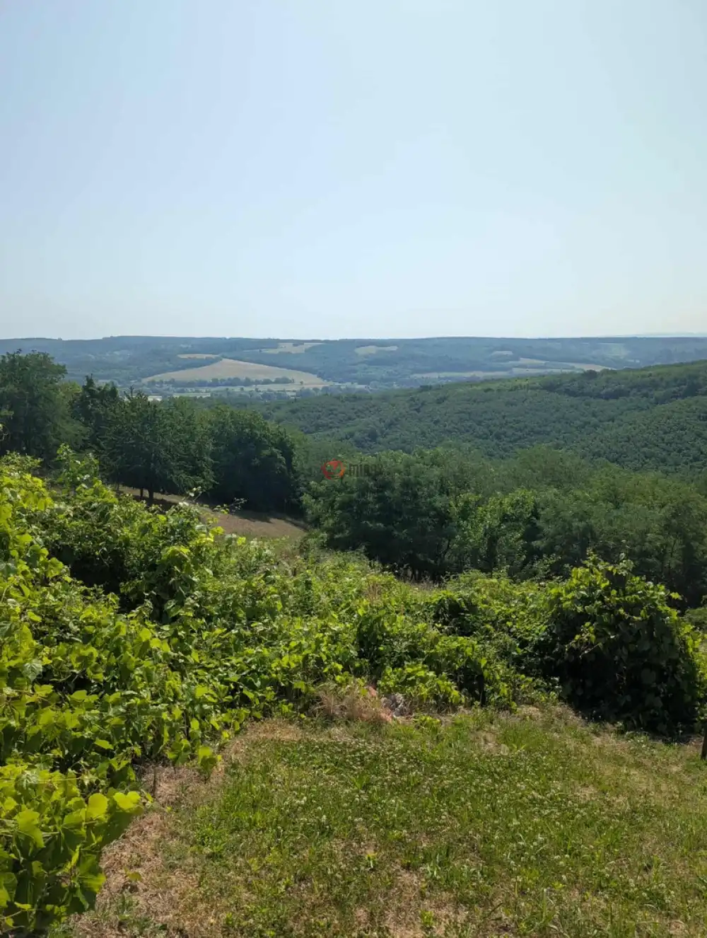 Zala megye - Bocfölde