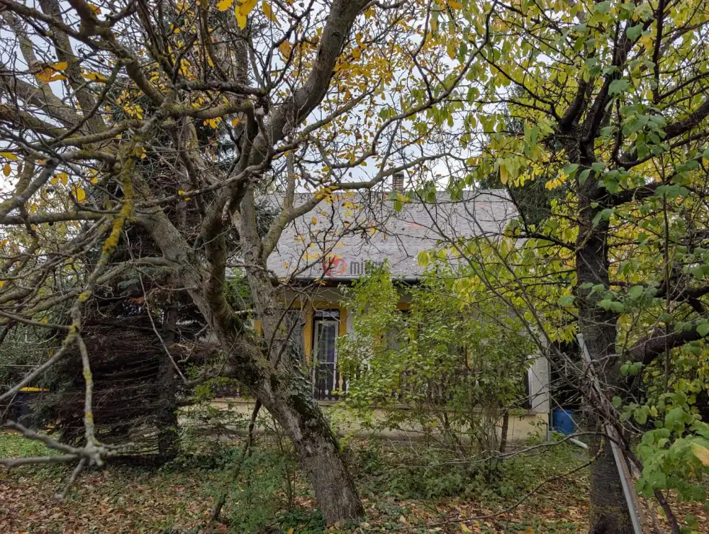 Zala megye - Gyenesdiás