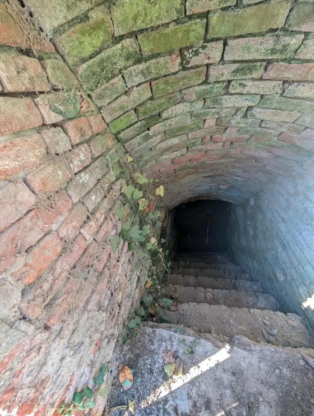 Baranya megye - Sellye