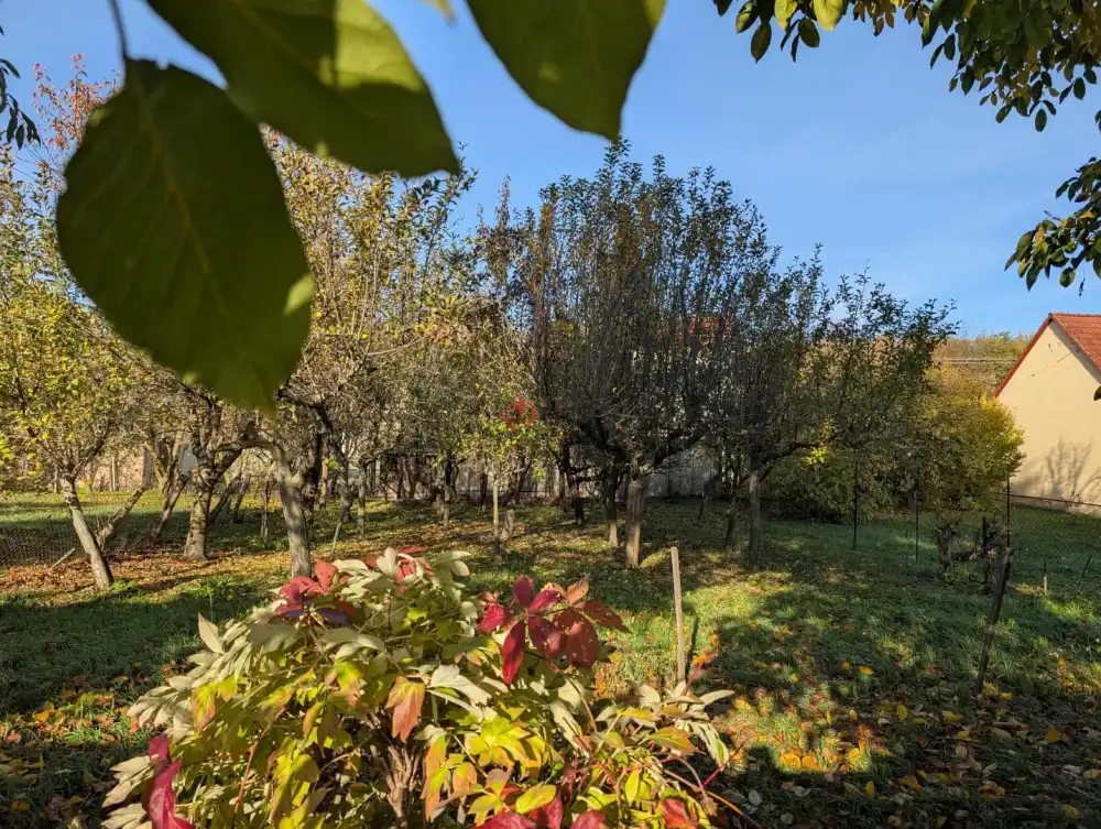 Baranya megye - Szigetvár