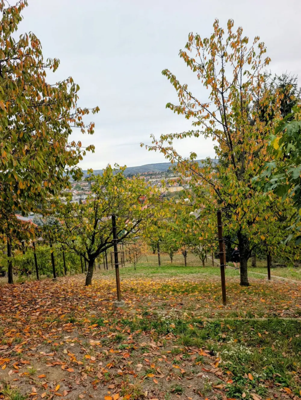 Zala megye - Zalaegerszeg