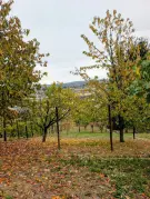 Zala megye - Zalaegerszeg