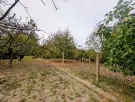 Zala megye - Zalaegerszeg