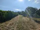 Zala megye - Cserszegtomaj