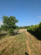 Zala megye - Cserszegtomaj