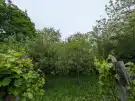 Zala megye - Csapi