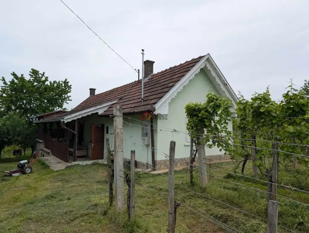 Zala megye - Csapi
