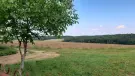 Zala megye - Mikekarácsonyfa