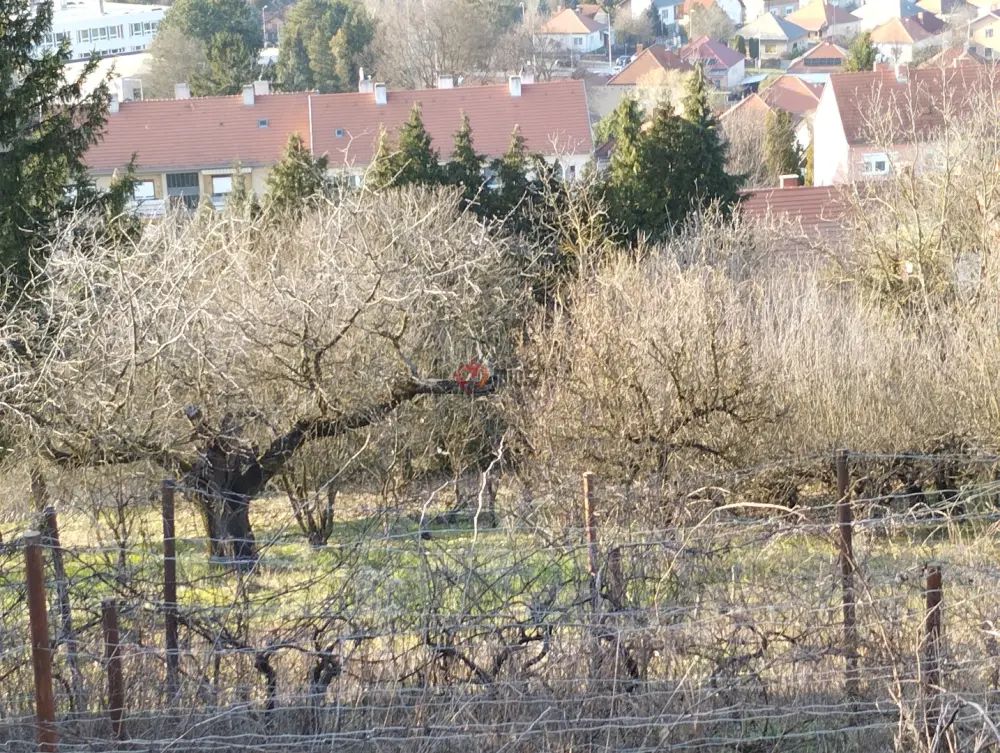 Zala megye - Zalaegerszeg