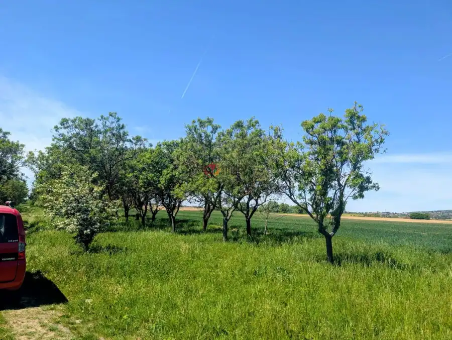 eladó  Építési telek, Keszthely