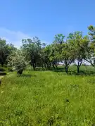 Zala megye - Keszthely